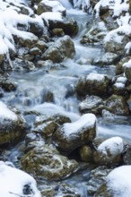 Mountain stream, Stillachtal, near Oberstdorf, Allgäu Alps, Allgäu, Bavaria, Germany