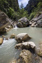 River L Estoublaisse, Trevans Gorge, Gorges de Trévans, near Estoublon, Alpes-de-Haute-Provence,