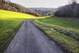 A winding path through a green landscape with hills and forests in the background, Siegen North