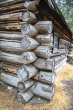 Yosemite National Park, California - The Pioneer Yosemite History Center at Wawona in Yosemite