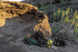 Climbing gear and supplies laid out on the ground near a rugged boulder, surrounded by natural