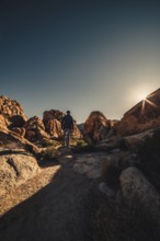 Sunrise in Joshua Tree National Park