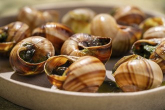 A close-up view of baked escargot in shells, garnished with melted butter and parsley, presented in