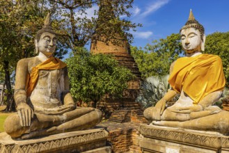 Stone Buddha statues decorated with yellow cloths, historic Buddhist temple complex, Ayutthaya,