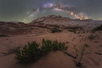 Star-studded skies illuminate the unique rock formations of Coyote Buttes in the Paria