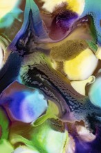 This abstract image showcases vibrant ink blends with rich textures flowing over multiple colored