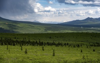 Tundra and mountain landscape with dramatic cloudy sky, Denali National Park, Alaska, USA