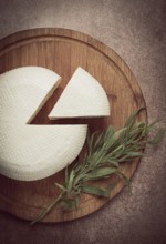 Head of Georgian cheese, Imereti variety, top view, on a cutting board