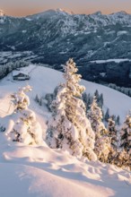 Snow-covered windscape in the Alps at Neunerköpfle in the Tannheimer Tal in Tyrol, Austria
