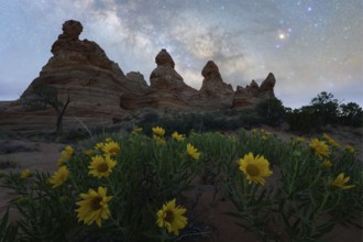 Starry night sky over Coyote Buttes in the Paria Canyon-Vermilion Cliffs Wilderness, Arizona,