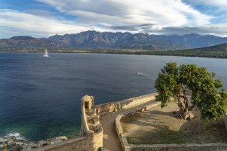 Citadel wall and Calvi Bay, Balagne, Corsica, France
