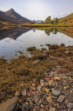 Mountains reflected in fjord, stones, midday light, sunny, still, coast, sea, autumn, autumn