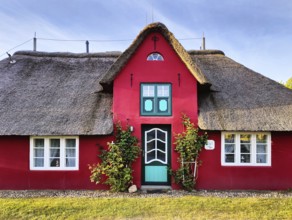 Uthlandfriesian house, typical, small thatched house with Zerchgiebel also called Friesenhaus,