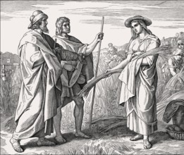 Ruth in Boaz's Field, Old Testament, by Julius Schnorr von Carolsfeld