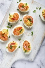 Boiled eggs stuffed with yolk and seasoned with mayonnaise, stuffed eggs with shrimp, on a white