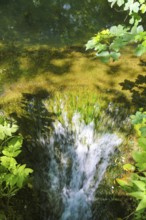 Small waterfall at the Gönningen lakes, calcareous tufa nature trail, idyll, nature, at the foot of