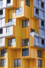 A cutting-edge design in suburban modern architecture, highlighting a dynamic combination of