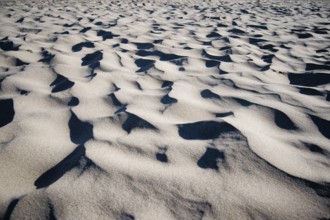Dry sand on the beach. Grzybowo, Poland
