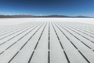 Aerial view of the geometric grid pattern created by salt extraction lines in Salinas Grandes,