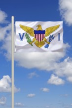 The flag of the American Virgin Islands, Studio