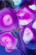 Vibrant pink and blue hues swirl together in this abstract art of ink on a canvas. Rich magenta and