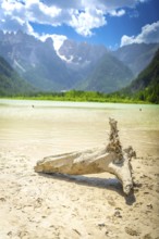 Tourists enjoy a summer swim in the turquoise waters of lago di landro with the dolomites and a sun