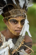Portrait, young native woman, with face painting and feather headdress, village Mutin, Lake Murray,