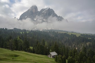 A small wooden hut stands in the green meadows of Alpe di Siusi, with towering Dolomite peaks