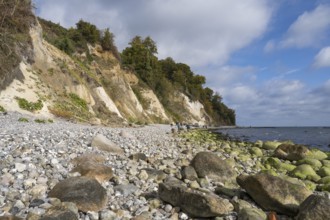 Chalk coast, cliffs, stones on the shore, Jasmund National Park, Sassnitz, Rügen, island, Baltic