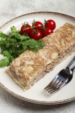 Pork jelly, aspic, homemade, cold appetizer, no people