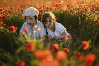 A young boy and girl, siblings, are closely observing and interacting with red poppies in a lush