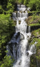 Waterfall, Glarus, Switzerland