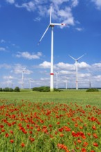 Wind farm, field with flower strips, insect-friendly border of fields with mixed flowers, poppies,