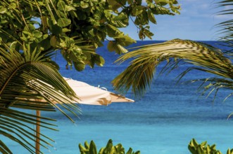 Petit Anse Beach at the Four Seasons Resort, Mahe, Republic of Seychelles, Indian Ocean