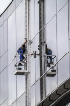 Window cleaner, facade cleaning, window cleaning, on a glass facade in Düsseldorf, ladder cage from