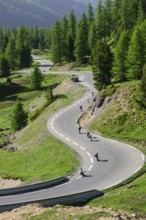 Sporty young people skateboarding at high speed on switchbacks of alpine road pass road from pass