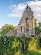 Monastery ruins in the evening light, Lindow (Mark), Brandenburg, Germany