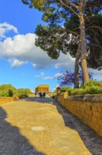 Temple of Concordia, Valley of Temples, Agrigento, Sicily, Italy