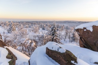 View from Großer Lugstein of the winter landscape with snow-covered trees and branches covered with