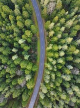A bird's eye view of the road as it curves through dense green forests, Agenbach, Black Forest,