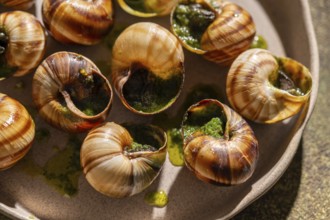 Close-up top view of baked escargot seasoned with butter and parsley, served in a ceramic dish