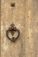 Door knocker on an old wooden gate, Galatina, Apulia, Italy