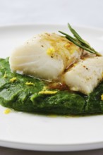 A succulent cod fillet sits atop a beautiful green spinach puree, garnished with herbs and citrus