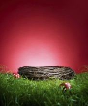 Turf in front of a red background, with an Easter nest and 2 red Easter eggs, studio shot