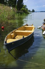 Shoreline landscape and moored boats on the edge of Lake Constance on the island of Reichenau,