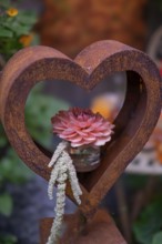 Rusty heart with pink flower in a glass in front of a soft, green backdrop, North Rhine-Westphalia,