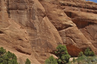 Impressive sandstone walls in the desert with few plants on the ground, Arches National Park, Utah,
