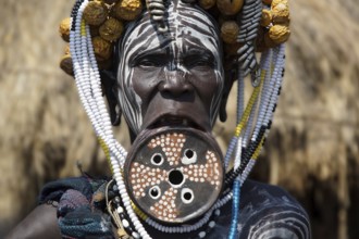 Africa, Ethiopia, Omo River Valley, Morsi, woman, woman, plate lips, lip plate, clay plate in the