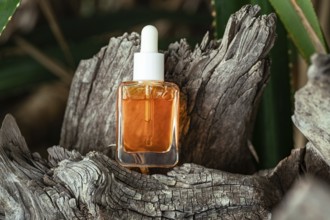 A clear bottle of Vitamin C serum for face care is displayed in a rustic wooden setting surrounded