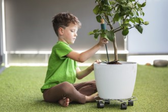 A young boy in a green shirt and brown pants sits on green indoor carpet, tending to a potted plant